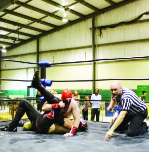 The weather was something of a problem Saturday, but the rest of the weekend saw large and enthused crowds taking in the 2016 edition of Brampton Fall Fair. Captain Tremendous employed an airplane spin, followed by a splash from the lower ropes to get the count from referee Brad Meyers for victory over Toro Asiaro last Thursday night at Brampton Fall Fair. Classic Championship Wrestling was providing the entertainment on the first night of a very busy weekend at the Fair. Photo by Bill Rea