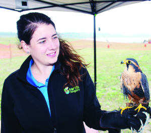 Rebecca Rice of Earth Rangers had some interesting creatures to show people, including Lily, an alpomado falcon.