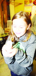 There were lots of interesting animals to see and make friends with. Riley Masson, 10, of Bolton, got to hold one of the chicks that were on display Friday night. They were only three days old at that point.