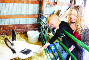 There were many interesting animals at the Fair and lots of people on hand to meet them. Carrie Lagace of Caledon East gave a boost to her son Liam Lagace-Froude, 4, as he fed a cracker to this miniature Sicilian donkey in the petting area.