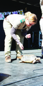 Reptilia put on a number of Large Animal Shows over the weekend. Natalie Kuzminer was introducing the audience to Cherry, a red-footed tortoise.