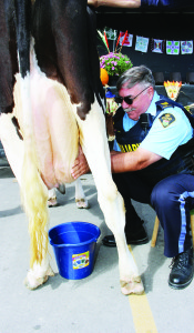 Milking challenge at Fair Bolton Fall Fair included a Milking Competition Sunday between auxiliary police officers and volunteer firefighters. Aux. Sergeant Jim Drake was one of the officers taking part against volunteer firefighters like Christine Calzato. The firefighters won. Photos by Bill Rea