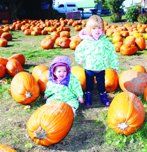 What would Pumpkinfest be without Pumpkins? There were lots of them around, and Hope and Isley Bowen of Toronto found them.