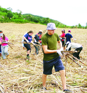 The young members of Mission Team 2017 were hard at work gathering up sugar cane from this field.