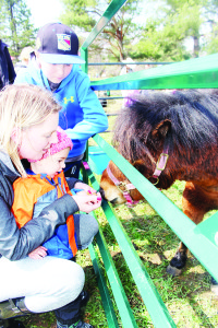 The petting zoo attracted lots of attention. Stephanie Albanese of Orangeville helped her son Matteo, 2, feed the animals as her nephew Ethan, 11, watched.