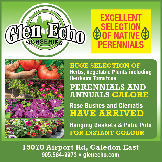 Glen Echo
